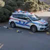 Внучка призналась: 19-летняя девушка и ее парень арестованы за убийство дедушки на Гран-Канарии