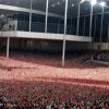 В Испании требуют освободить животных из клеток: активисты у стен Конгресса