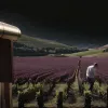 Ушла из жизни Ана Баррон: Испанский винный мир скорбит о потере выдающегося энолога