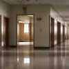 Тихие звуки судьбы: размышления о жизни, смерти и наследии