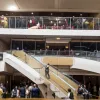 Хомяк-беглец сорвал рейс: Пассажиры LATAM в Перу ждали вылета три часа