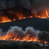 Большинство лесных пожаров в Испании взято под контроль: ситуация стабилизируется