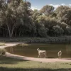 Приют для животных художницы Бебы Линаро: спасение дикой природы в Аргентине