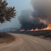 Греция в огне: тысячи эвакуированы из-за пожаров на фоне аномальной жары