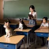 Каталония: Перераспределение должностей для учителей вызвало переполох – 5% преподавателей затронуты