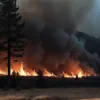 Смертельный пожар в Галисии: один человек погиб в лесном пожаре в Оренсе