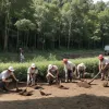 Евросоюз предложил платить за защиту природы: как это работает?