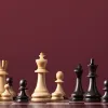 Шахматный триумф: Ле обыграл Ананда на турнире в Леоне