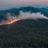 Лесные пожары в Испании: Огонь угрожает среде обитания бурого медведя