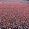 Шейнбаум планирует смягчить правила для создания политических партий в Мексике