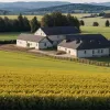 Пивоварня из Лиерганеса использует отходы для производства сыра и кормит коров