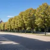 Испания готовится к завершению жары: почти вся страна в зоне опасности