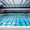 Триумф пловцов: Обзор выдающихся результатов Чемпионата мира по водным видам спорта