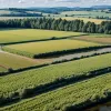 Борьба за воду в Перу: Жители района Ла-Уака против сахарной промышленности