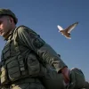 Отставка военных и разведчиков: Израиль призывают к прекращению войны в Газе и освобождению заложников