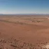Мигранты на границе с США: ожидание перемен и планы остаться в Мексике