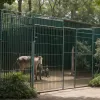 Тайный зоопарк в Испании: полиция обнаружила 150 животных редких видов