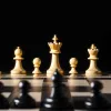 Испанец Пульветт – чемпион мира по шахматам среди слепых: анализ партии