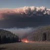 Дым от пожаров достиг трех стран: спутники зафиксировали рекордные выбросы