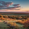 Новые законы Техаса: что изменится с 1 сентября