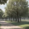 Загадочная гибель гусей в Севилье: что стало причиной и как власти реагируют?