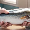 Эль Каталатас: Консервы с историей - как просроченные моллюски стали деликатесом
