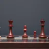 Китайская шахматистка Жу поднимается в рейтинге: анализ и перспективы