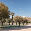 Малага закрывает парк из-за гибели птиц, Севилья – еще два: вспышка птичьего гриппа?