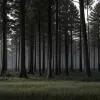 В Новой Зеландии застрелили отца, скрывавшегося с детьми в лесу четыре года