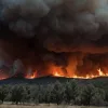Галисия усилит контроль за соблюдением закона 2007 года для предотвращения новых пожаров: что планирует руководство?