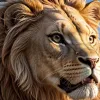 Сборная Парагвая празднует возвращение на Чемпионат мира на языке гуарани