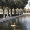 В Севилье закрыли парк Мария Луиза из-за гибели уток: что происходит?