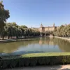 В Севилье зафиксированы новые вспышки птичьего гриппа: Экологи бьют тревогу